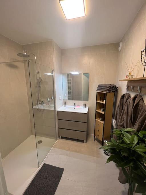 Superbe Appartement Neuf Aucalme Saint-Mandrier-sur-Mer Ngoại thất bức ảnh